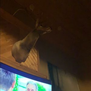 Meet your Posher, Gabe